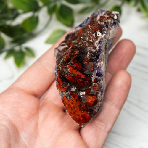Alien Amethyst #5