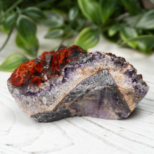 Alien Amethyst #5