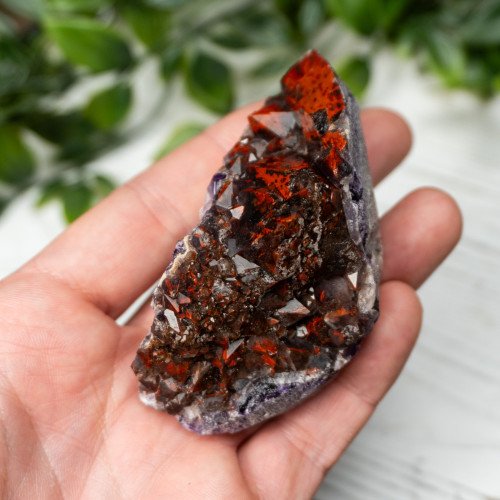 Alien Amethyst #5
