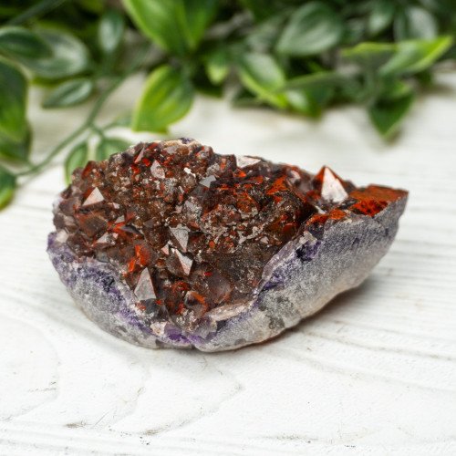 Alien Amethyst #5