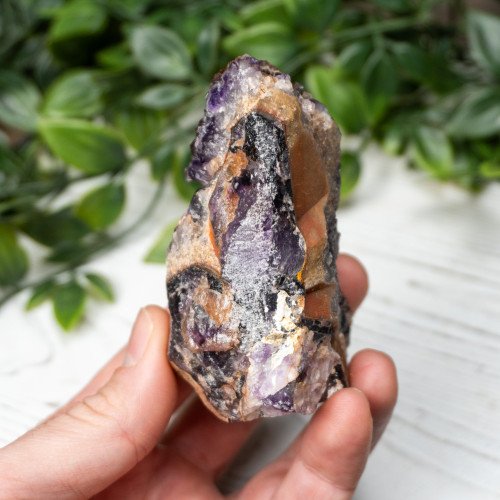 Alien Amethyst #4