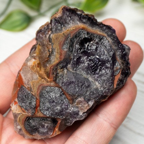 Alien Amethyst #3