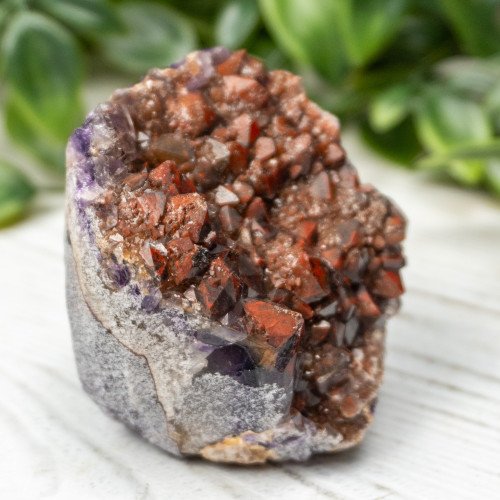Alien Amethyst #2