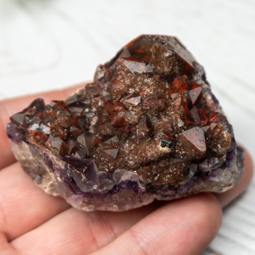 Alien Amethyst #1