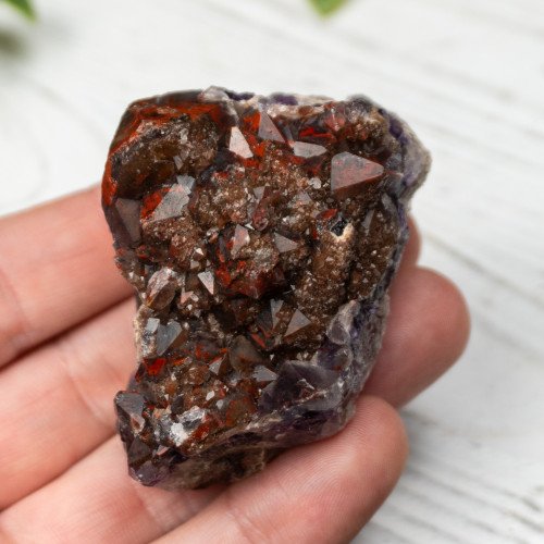 Alien Amethyst #1