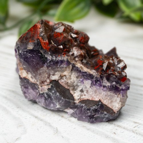 Alien Amethyst #1