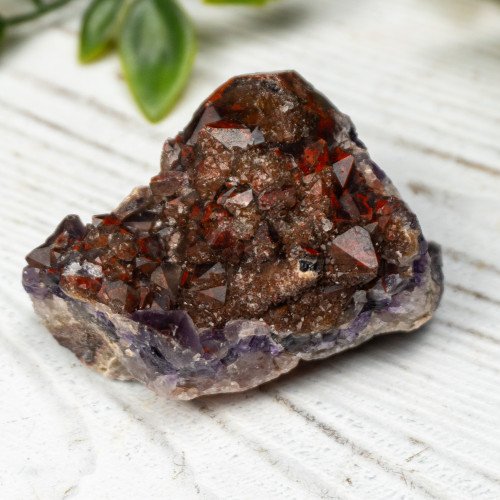 Alien Amethyst #1