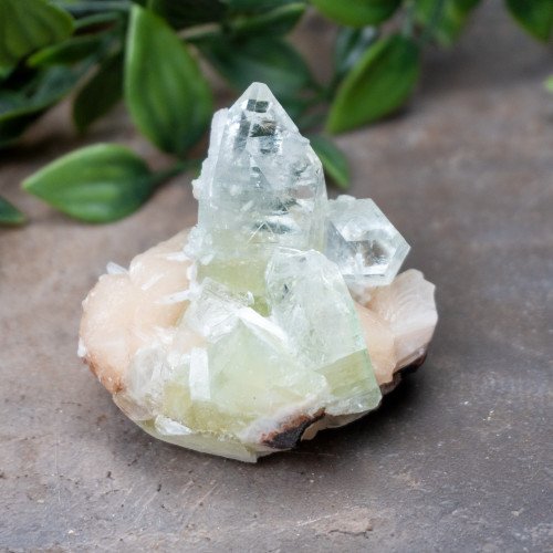Green Apophyllite with Stilbite and Scolocite #9