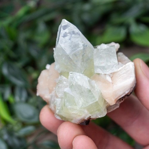 Green Apophyllite with Stilbite and Scolocite #9