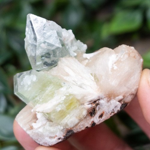 Green Apophyllite with Stilbite and Scolocite #9