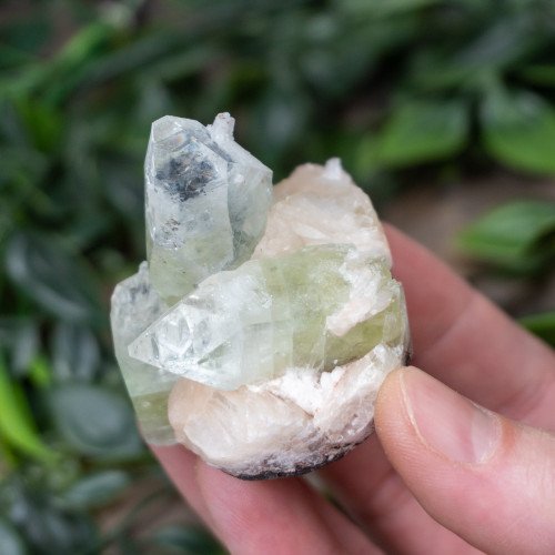 Green Apophyllite with Stilbite and Scolocite #9