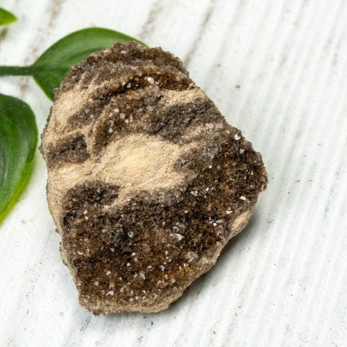 Smoky Quartz on Petrified Wood #4