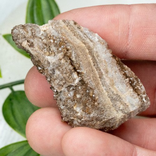 Smoky Quartz on Petrified Wood #3