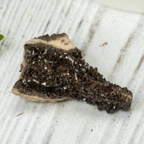 Smoky Quartz on Petrified Wood #2