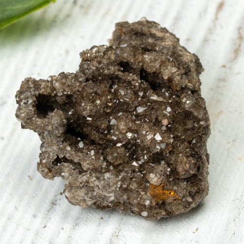 Smoky Quartz on Petrified Wood #1