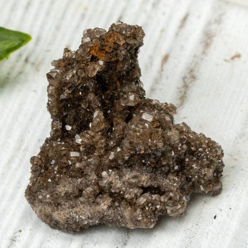 Smoky Quartz on Petrified Wood #1