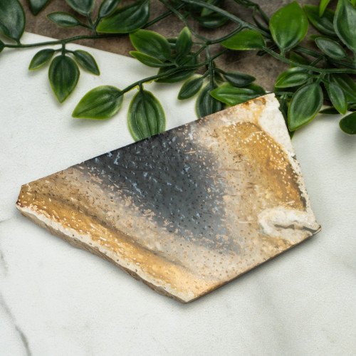 Indonesian Palmwood Slice #3