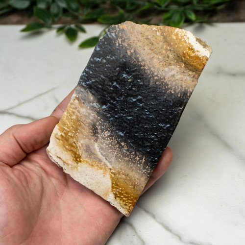 Indonesian Palmwood Slice #1
