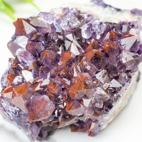 Auralite 23 #28
