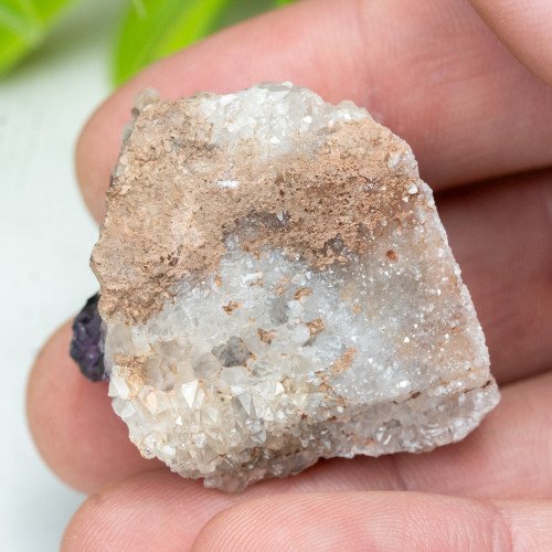 Auralite 23 #23