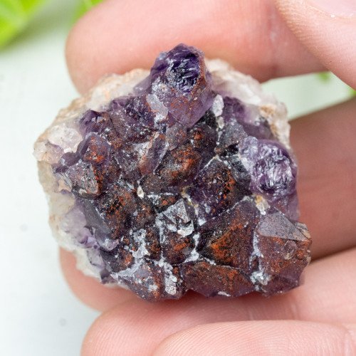 Auralite 23 #23