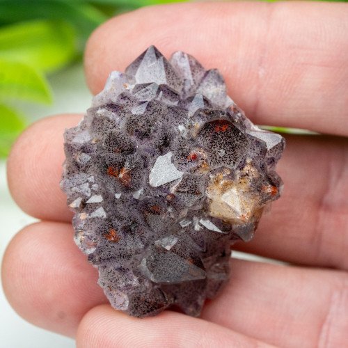 Auralite 23 #22