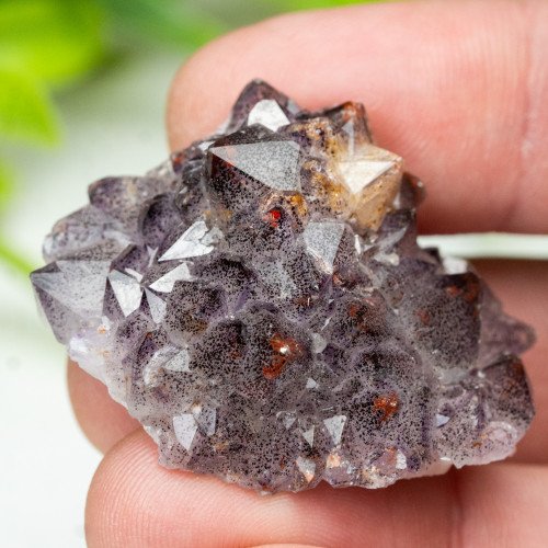 Auralite 23 #22