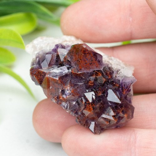 Auralite 23 #21