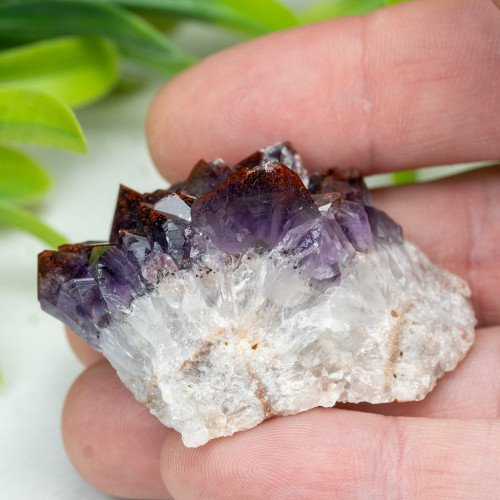 Auralite 23 #21