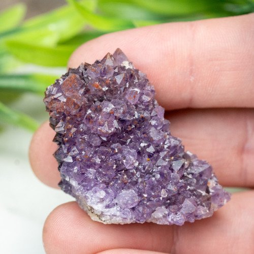 Auralite 23 #20