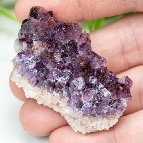 Auralite 23 #16