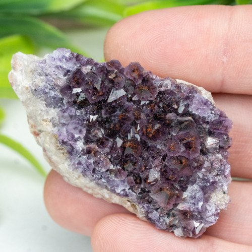 Auralite 23 #14