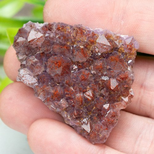Auralite 23 #13