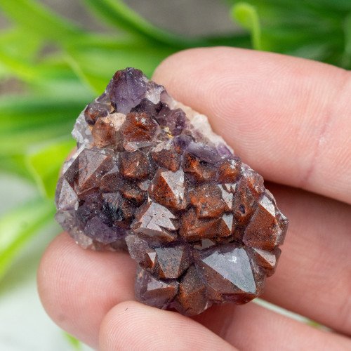 Auralite 23 #12