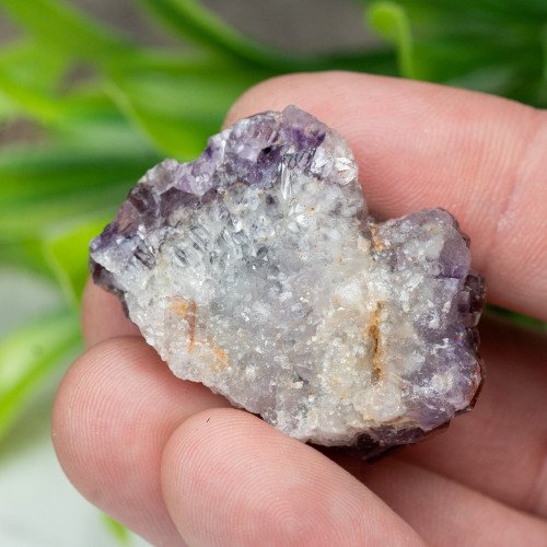 Auralite 23 #12