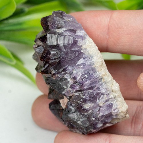 Auralite 23 #11