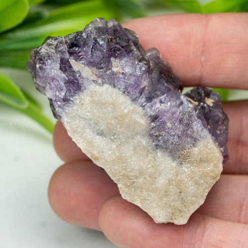 Auralite 23 #11