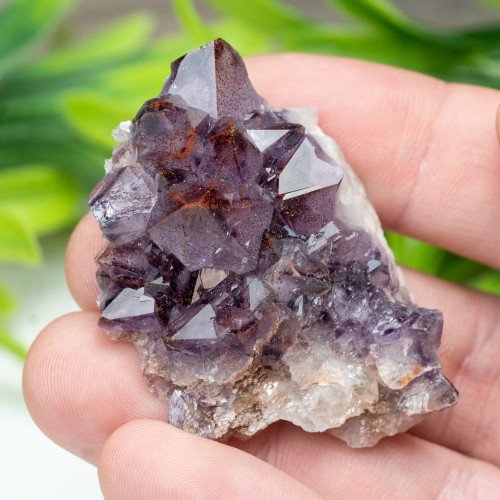 Auralite 23 #8