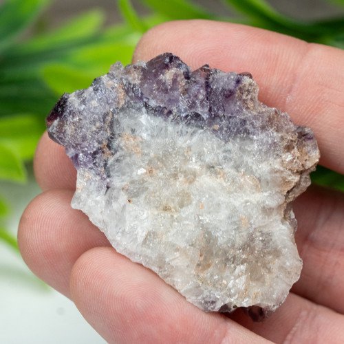 Auralite 23 #8