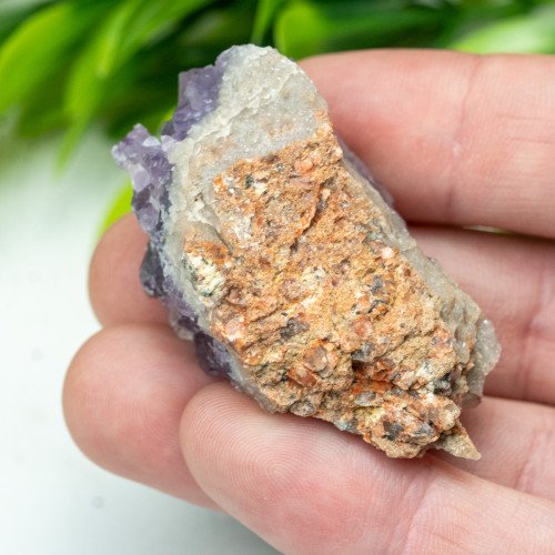 Auralite 23 #3