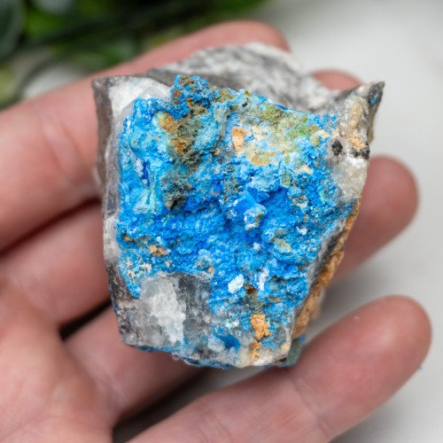 Cyanotrichite #13