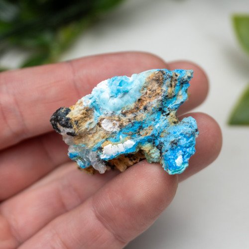 Cyanotrichite #12