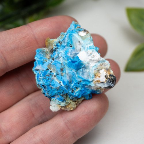 Cyanotrichite #12