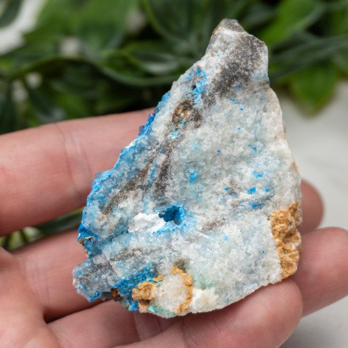 Cyanotrichite #10