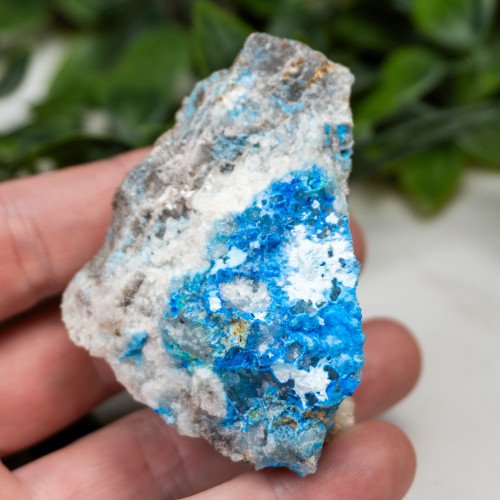 Cyanotrichite #10