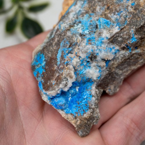 Cyanotrichite #7