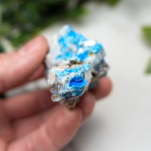 Cyanotrichite #6