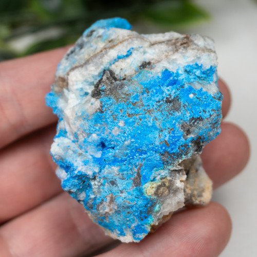 Cyanotrichite #5