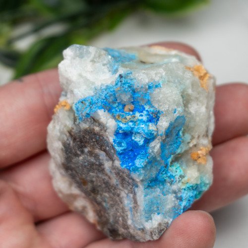 Cyanotrichite #3