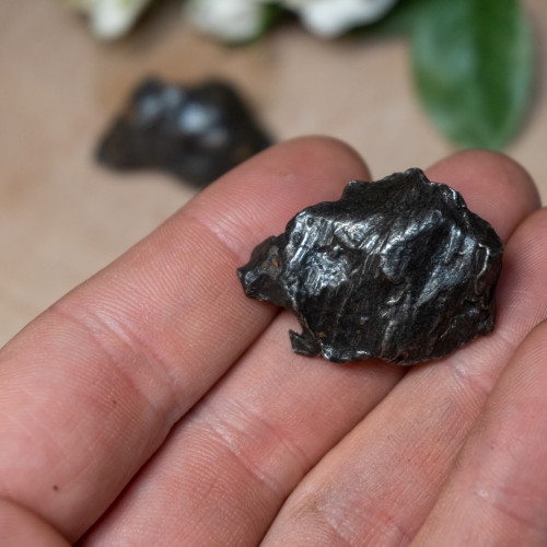 Small Sikhote-Alin Meteorite